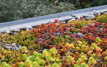 the cost of Long Ditton green roof installation