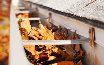 Long Ditton gutter cleaning companies